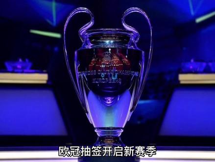 职业责